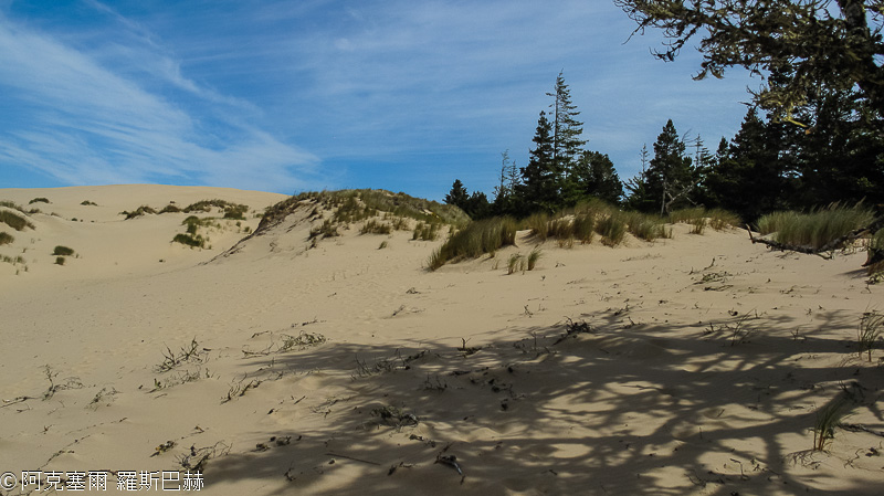 John Dellenback Dunes Trail