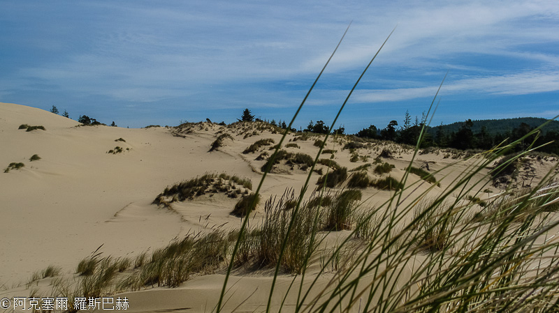 John Dellenback Dunes Trail