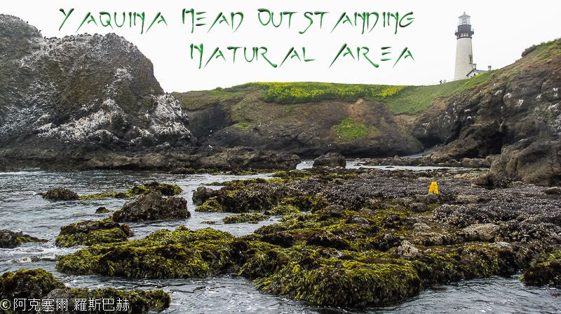 Yaquina Head Oststanding Natural Area