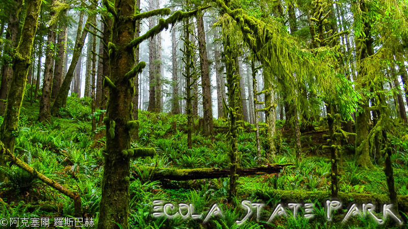 Ecola State Park