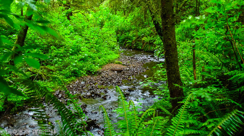 Ecola State Park