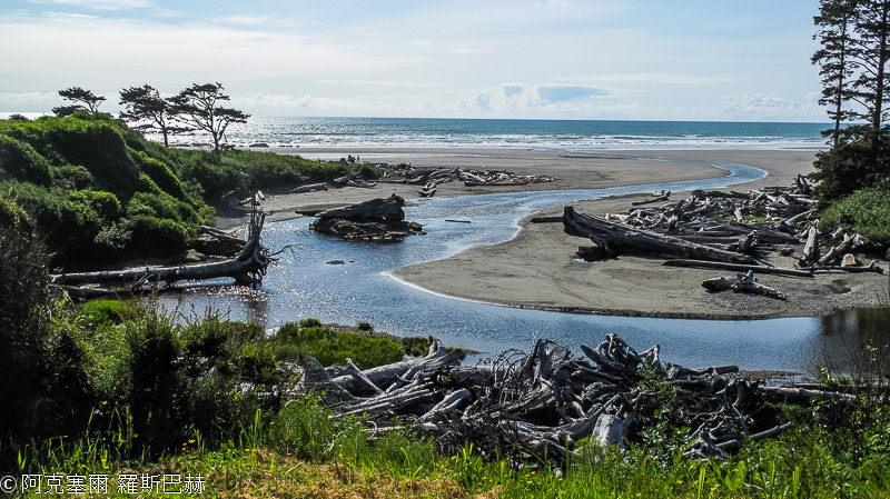 Kalaloch Beach