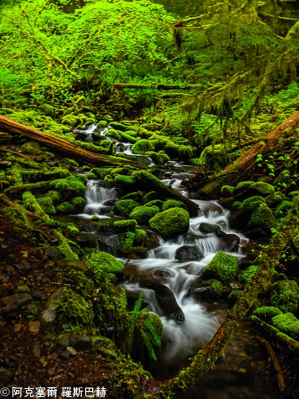 Sol Duc Falls