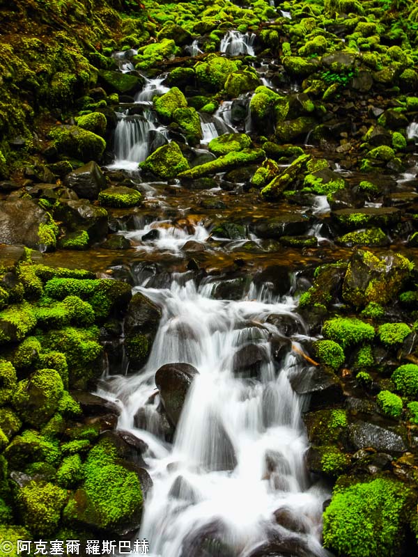 Sol Duc Falls