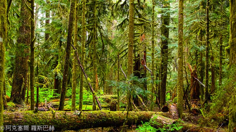 Sol Duc Falls