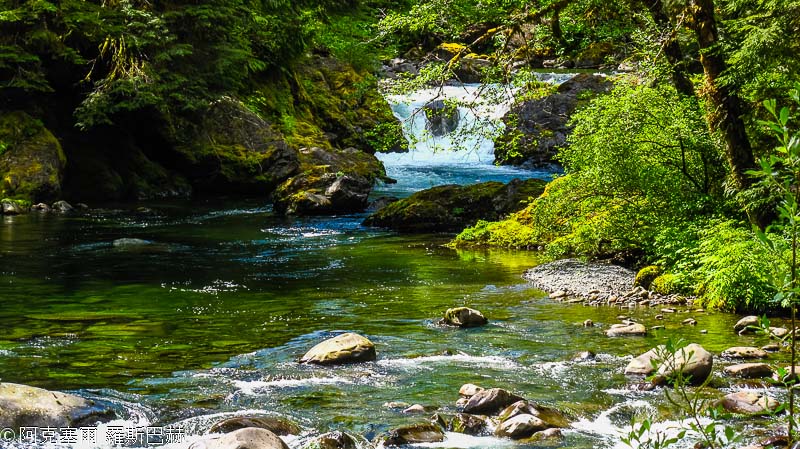 Sol Duc Falls