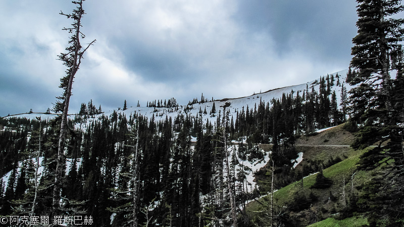 Hurricane Ridge