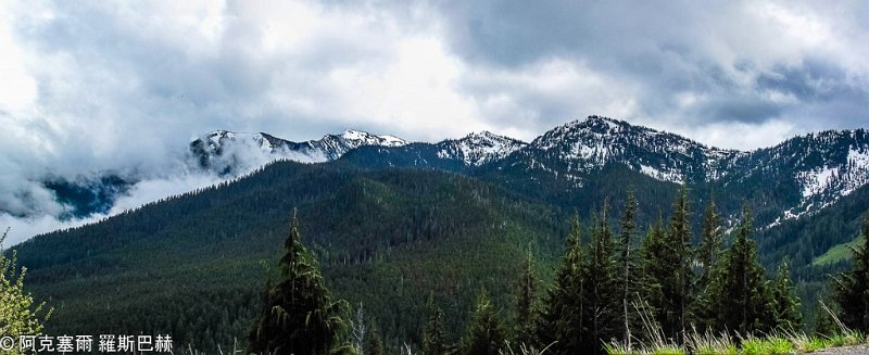 Hurricane Ridge