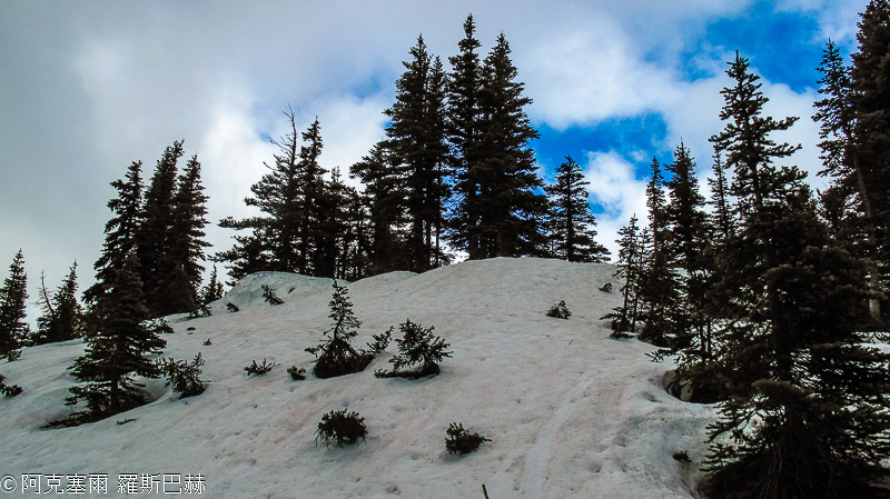 Hurricane Ridge