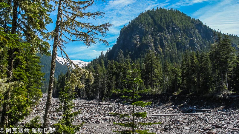 Mount Rainier National Park