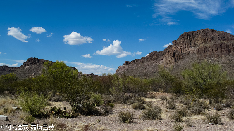 Saguaro NP West