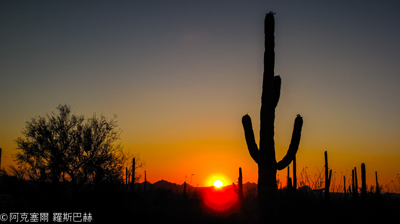 Saguaro NP West