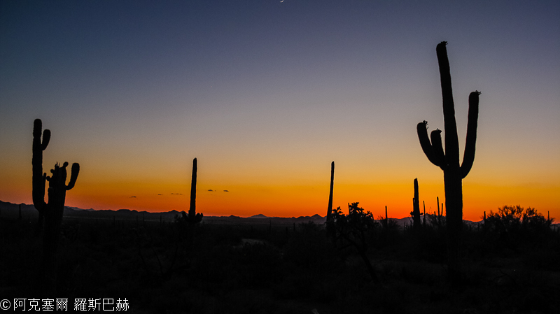 Saguaro NP West