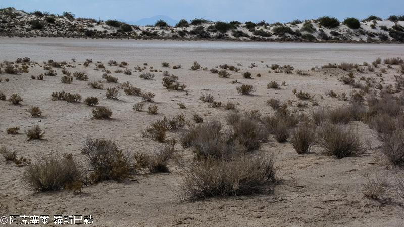 White Sands National Monument