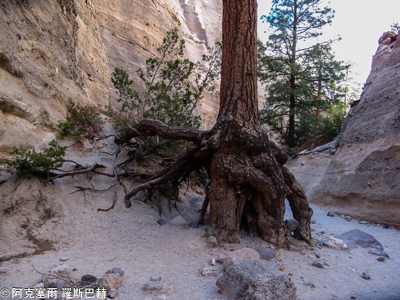 Kasha-Katuwe Tent Rocks NM