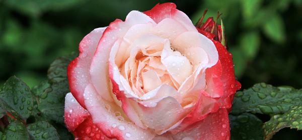058