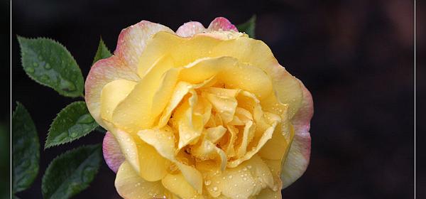 066