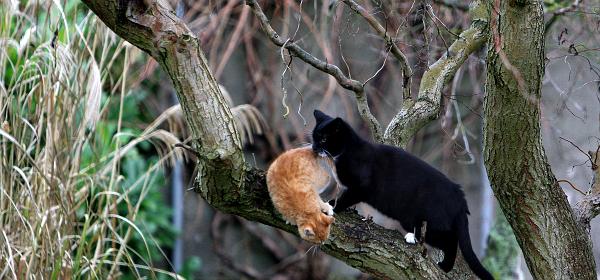 Gustav und Lisbeth