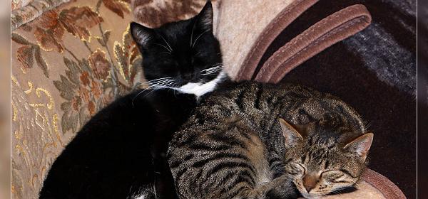 Helga und Lotti
