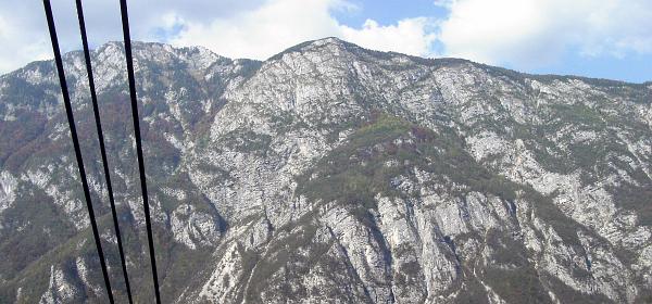 Vogel Seilbahn 00