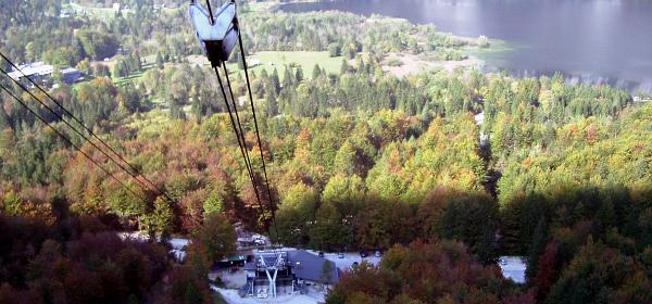 Vogel Seilbahn 01