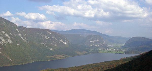 Vogel Seilbahn 02