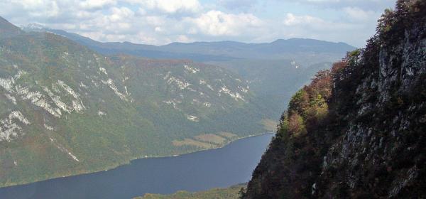 Vogel Seilbahn 05