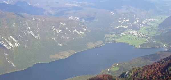 Vogel Seilbahn 06