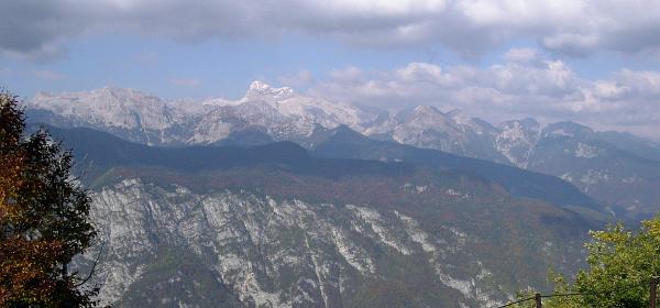 Vogel Seilbahn 09
