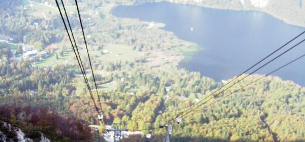 Vogel Seilbahn 17