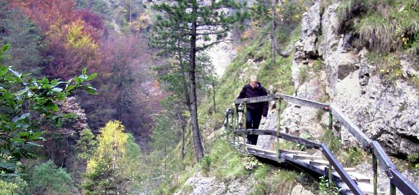 Tscheppaschlucht 8