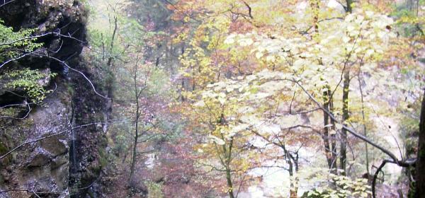 Tscheppaschlucht 9