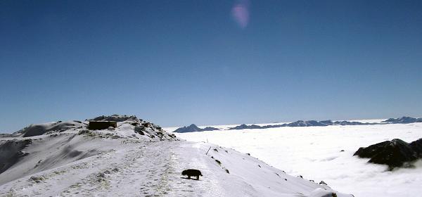 Moehltalgletscher 19