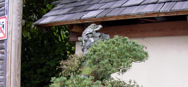 Bonsaimuseum 08