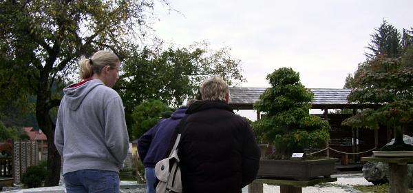 Bonsaimuseum 11