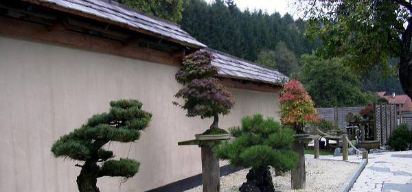 Bonsaimuseum 12