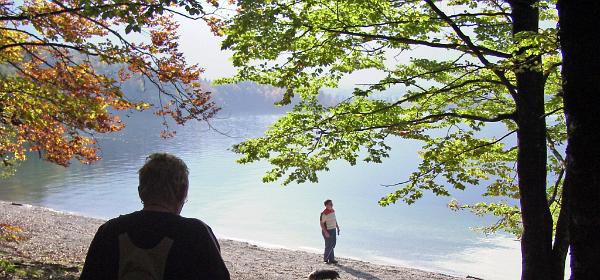 Bohinjer See Slovenien