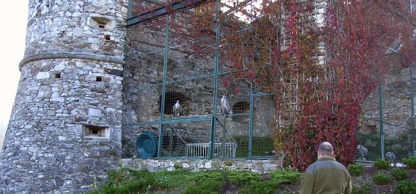 Burg Landskron 18