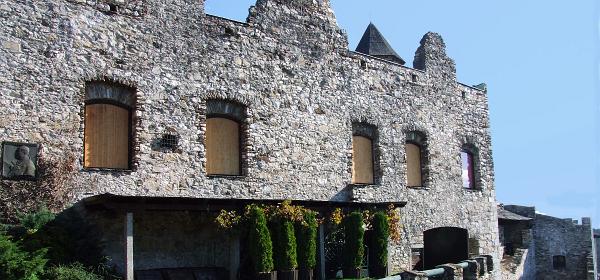 Burg Landskron 68