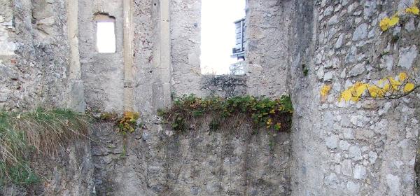 Burgruine Finkenstein 18