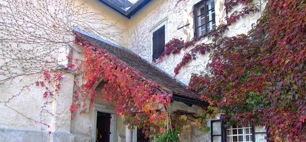 Burg Bled 15