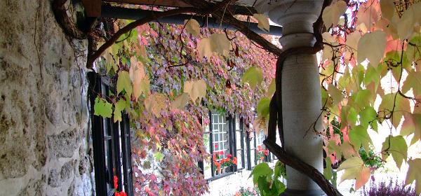 Burg Bled 18