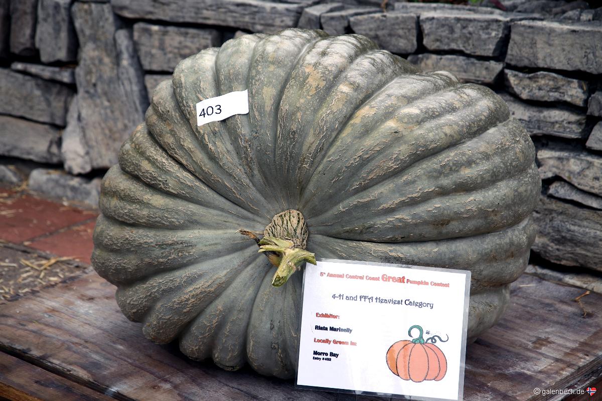 5th Annual Central Coast Great Pumpkin Contest