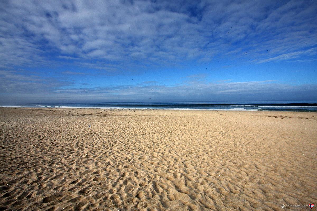 Guadalupe Nipomo Dunes