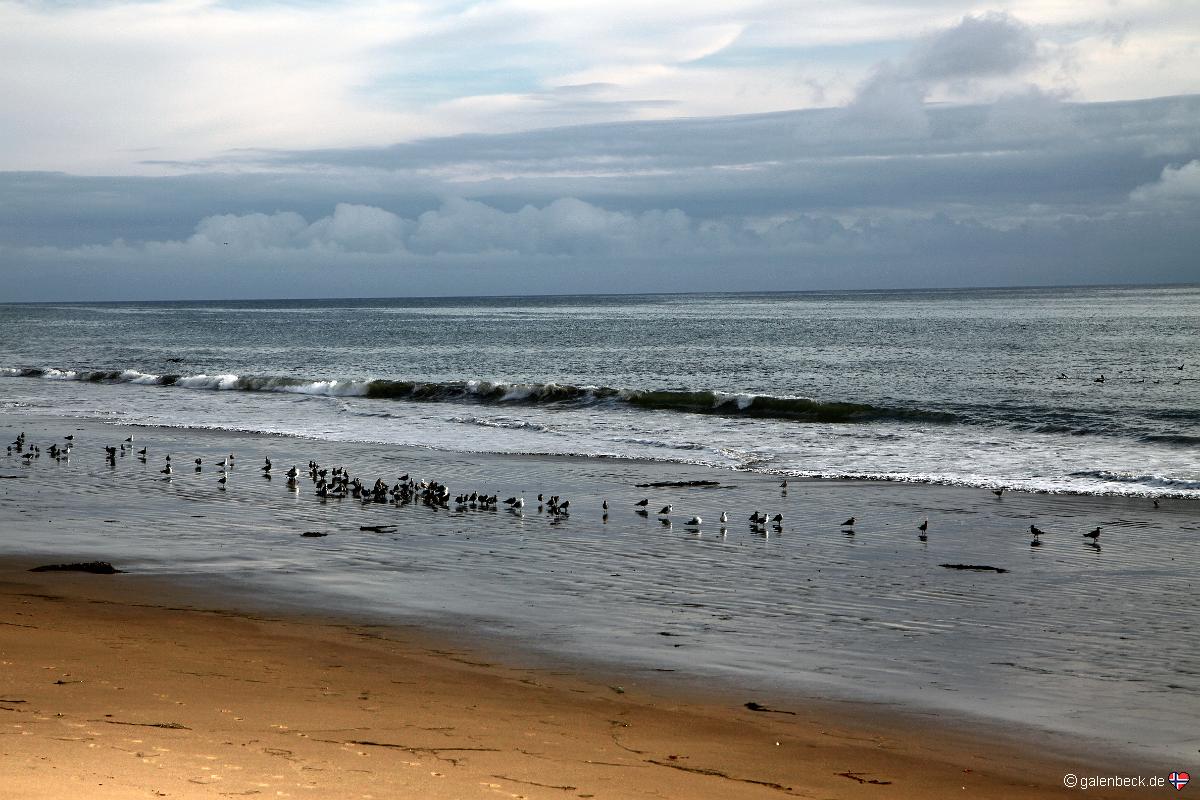 Emma Wood State Beach