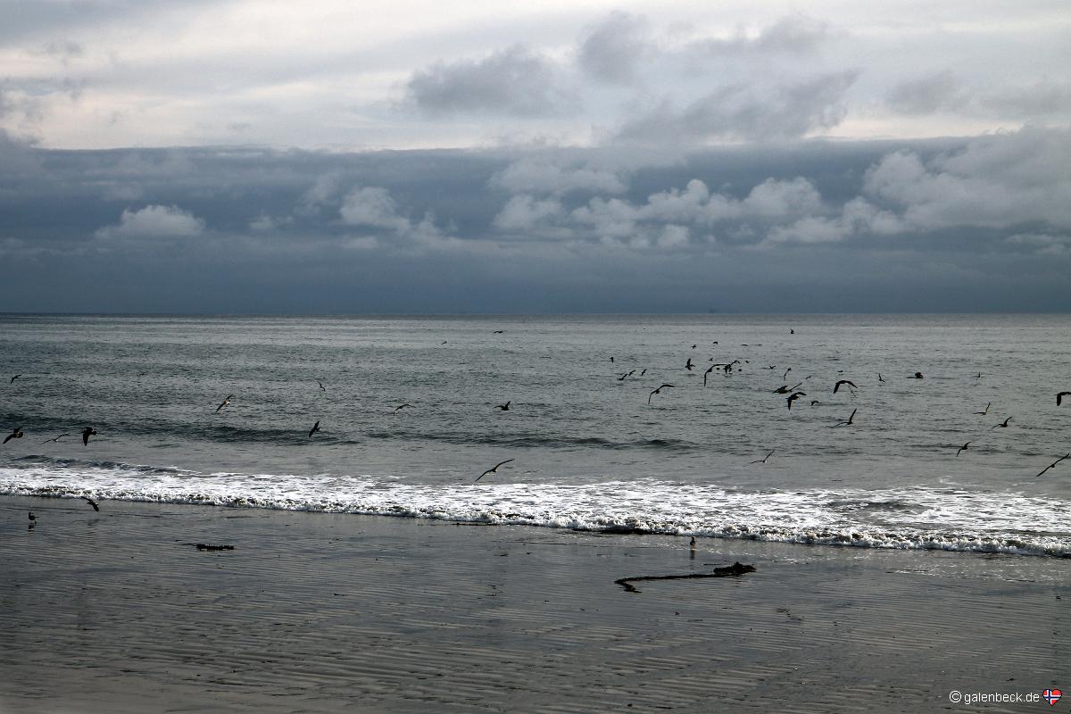 Emma Wood State Beach