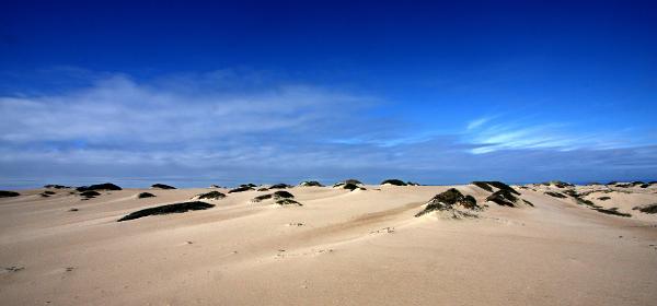 Guadalupe Nipomo Dunes