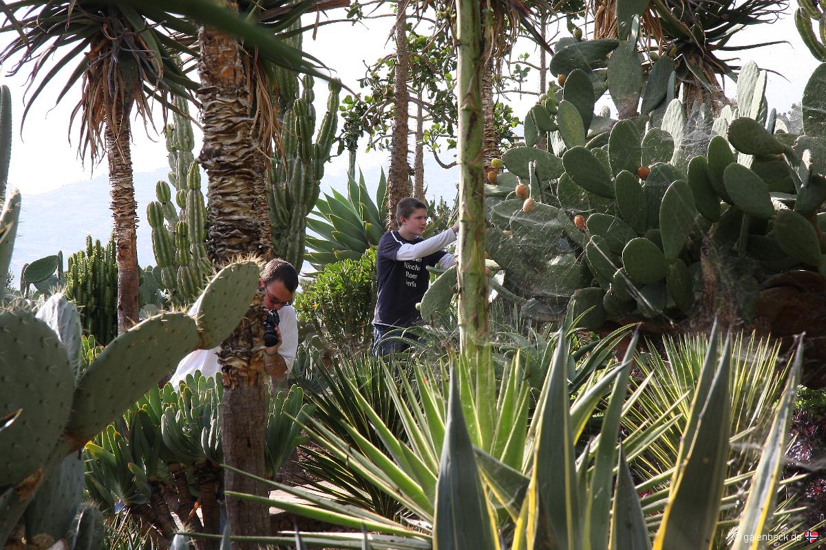 Botanical Garden Funchal