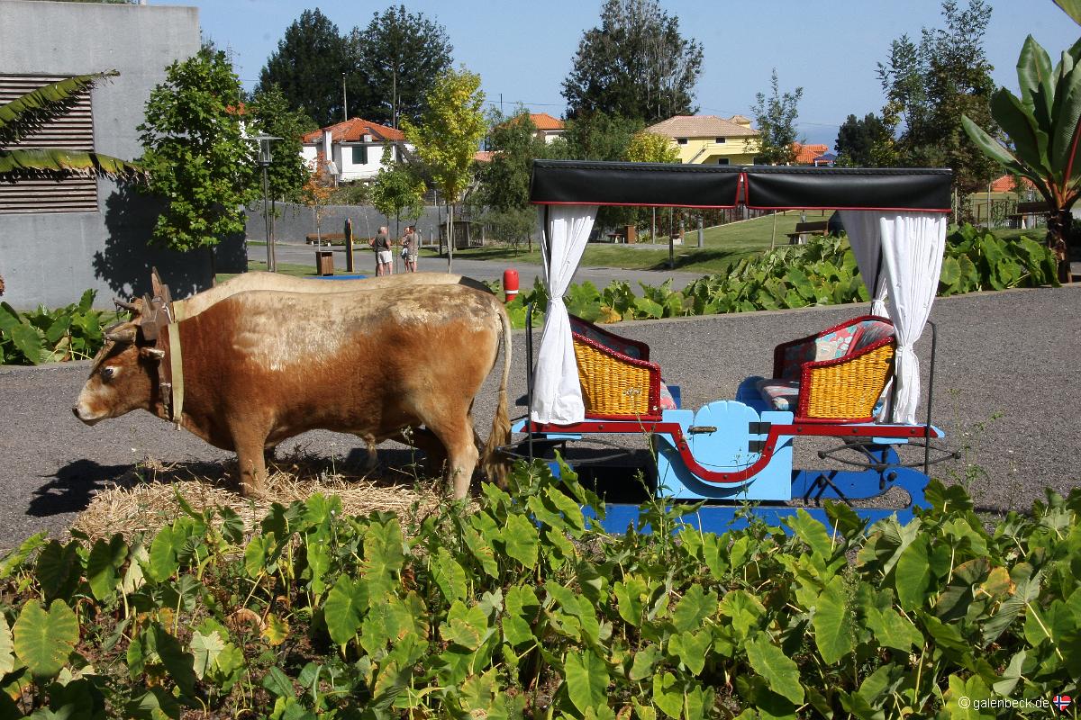 Parque Tematico da Madeira