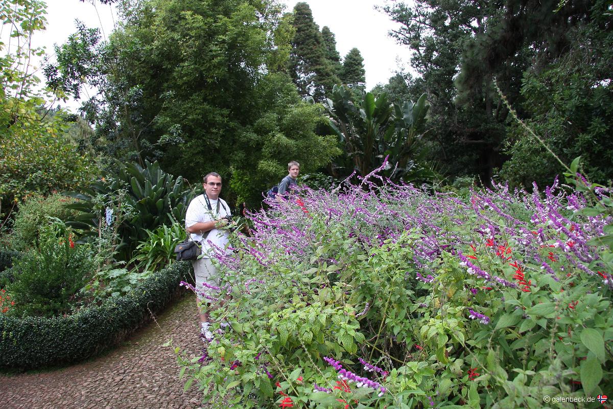 Blandy's Garden